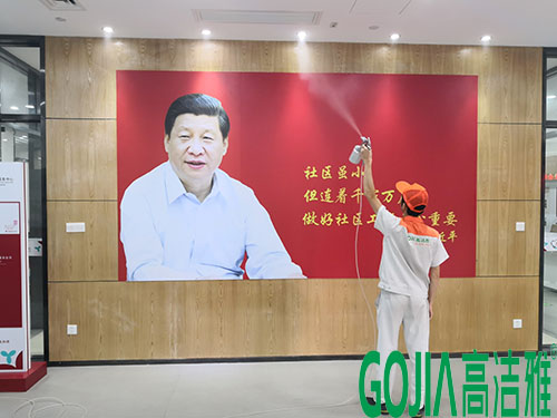 郑州政府工程除甲醛